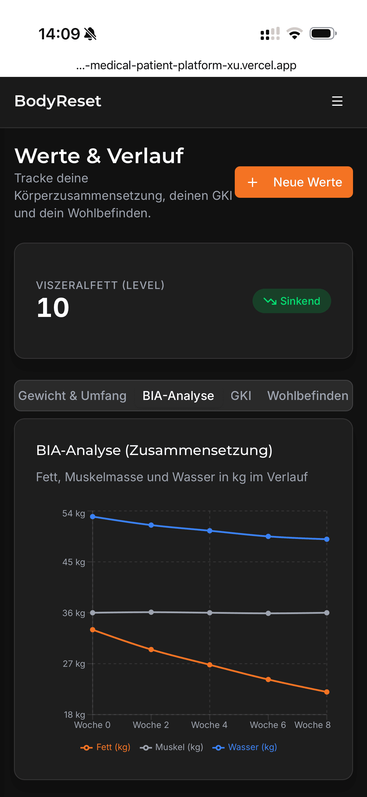 BIA-Analyse